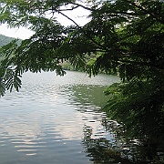 Picture 063